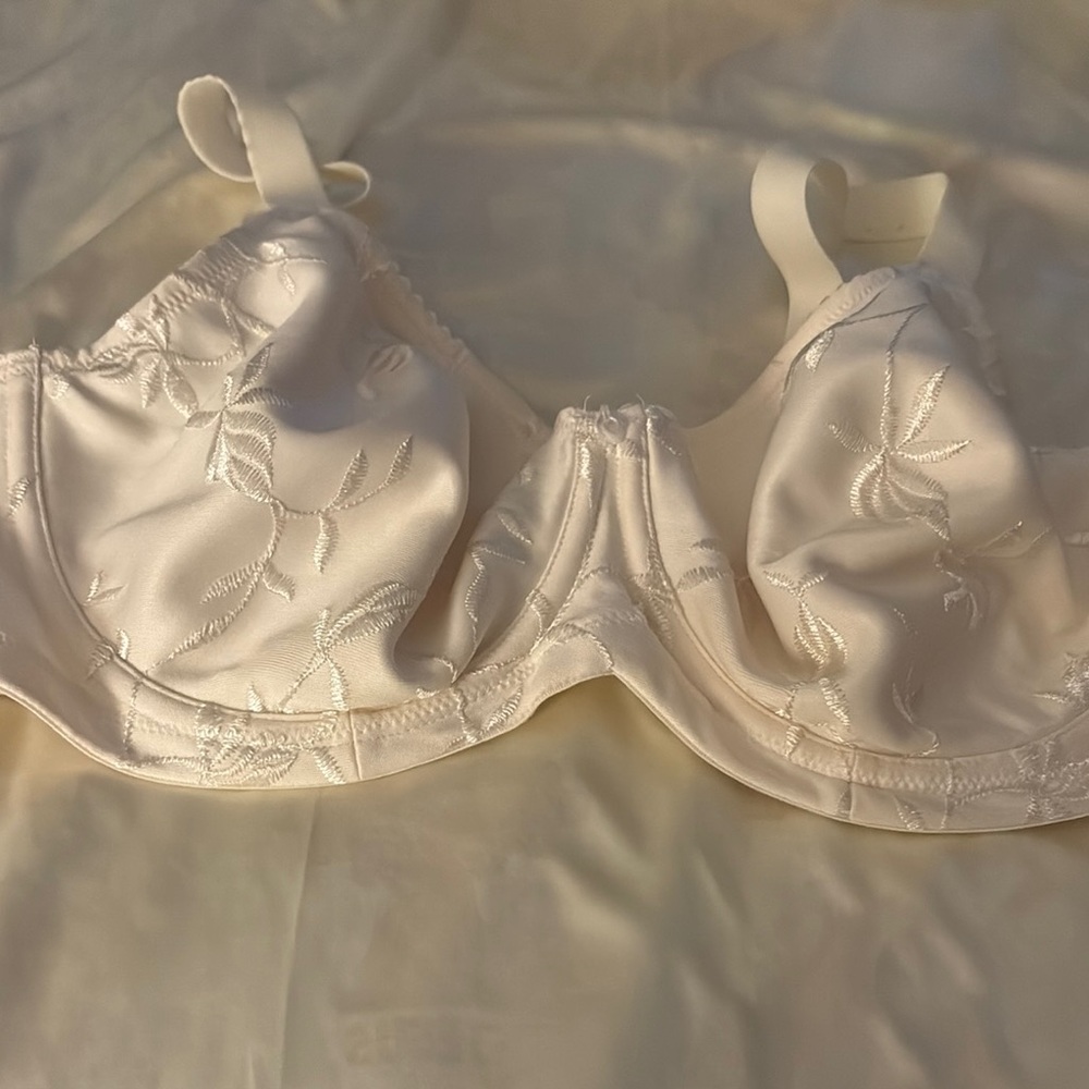 Elegant Creme Embroidered Bra